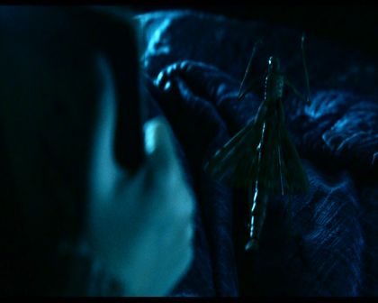 PDVD_310.jpg