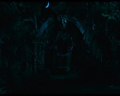 PDVD_324.jpg