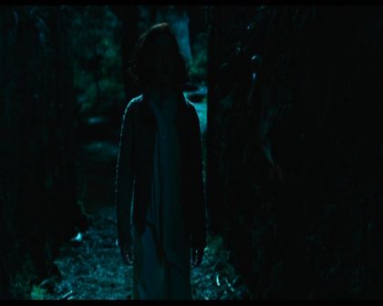 PDVD_327.jpg