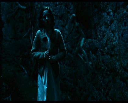PDVD_330.jpg
