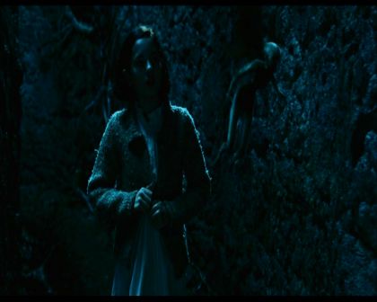PDVD_331.jpg