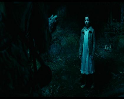 PDVD_364.jpg