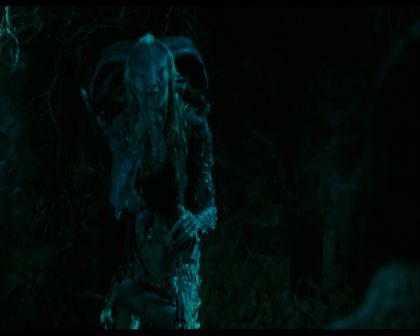 PDVD_383.jpg