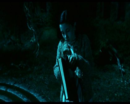 PDVD_399.jpg
