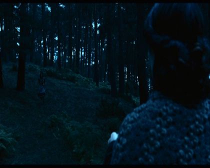 PDVD_730.jpg