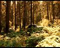 PDVD_028
