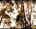 PDVD_037