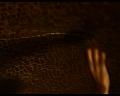 PDVD_1169