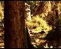 PDVD_123