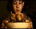 PDVD_1241