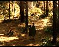 PDVD_152
