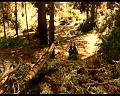 PDVD_153