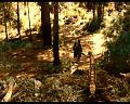 PDVD_154