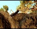 PDVD_157