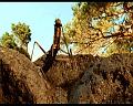 PDVD_158