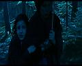 PDVD_1881