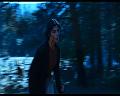 PDVD_2020