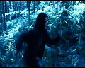 PDVD_2022