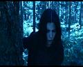 PDVD_2024