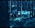 PDVD_2028