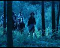PDVD_2032