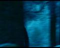PDVD_2033