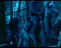 PDVD_2034