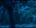 PDVD_2039