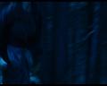 PDVD_2040