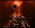 PDVD_208