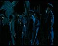 PDVD_242