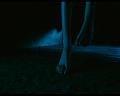 PDVD_287