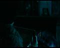 PDVD_303