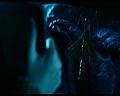 PDVD_310