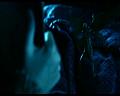 PDVD_311