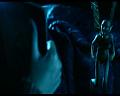 PDVD_317