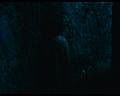 PDVD_329