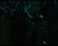 PDVD_334