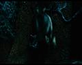 PDVD_335