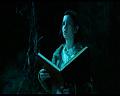 PDVD_401