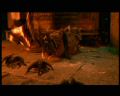 PDVD_1230.jpg