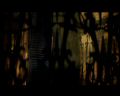 PDVD_1359.jpg