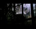 PDVD_1491.jpg