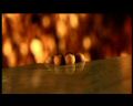 PDVD_1668.jpg