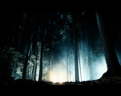 PDVD_162.jpg