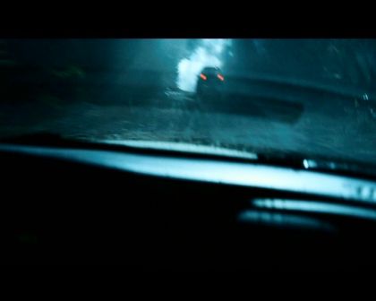 PDVD_184.jpg