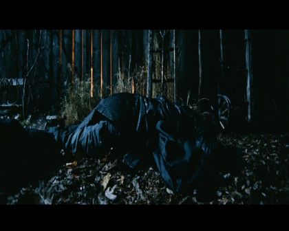 PDVD_2011.jpg