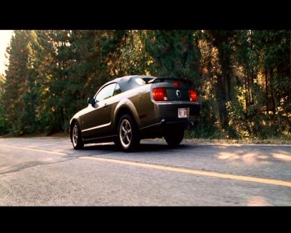 PDVD_451.jpg
