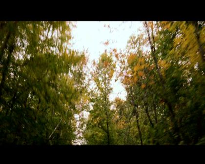 PDVD_502.jpg