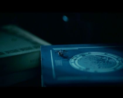PDVD_807.jpg